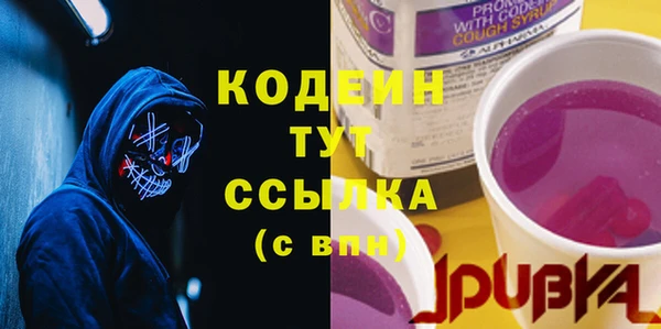 гидра Богородицк