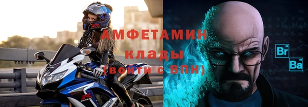 гидра Богородицк