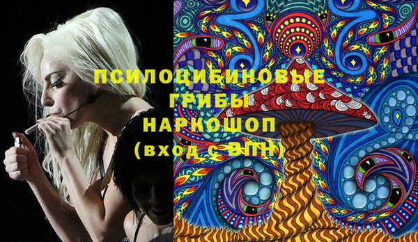гидра Богородицк