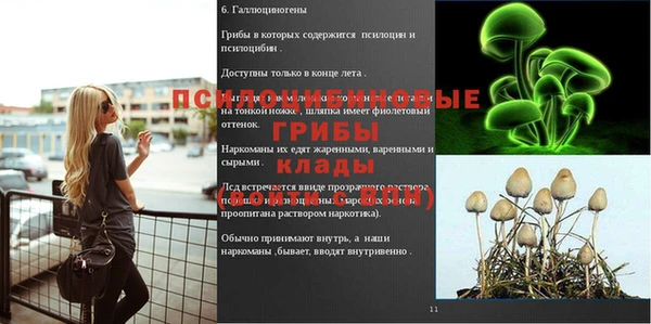 прущий лед Бородино