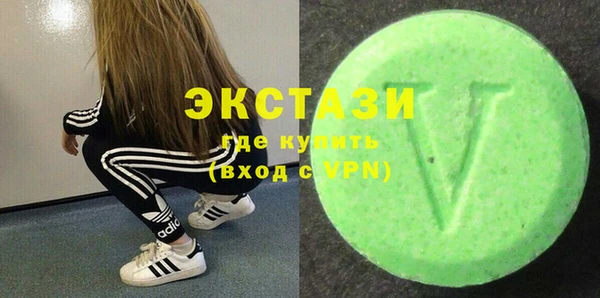 гидра Богородицк