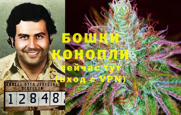 ALPHA PVP Богданович