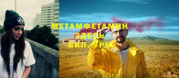 гидра Богородицк