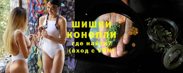 прущий лед Бородино