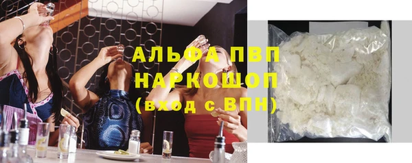 прущий лед Бородино