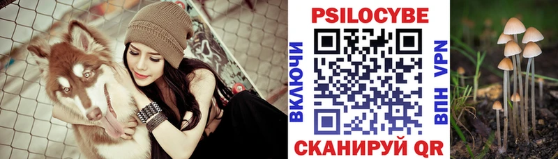 Псилоцибиновые грибы GOLDEN TEACHER  Кашира 
